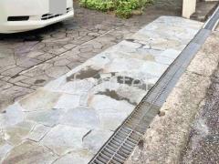 ����Ž�� ����� �бѴ�