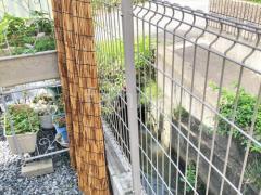 �ե��������