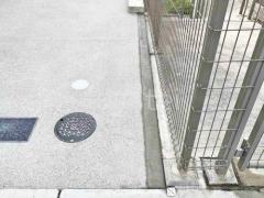 ��¸�֥��å�����ű�� ��륿���佤