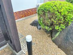 ���𥷡����ߤ�