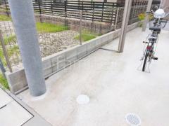 ������Ĺ