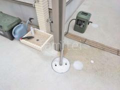 ������Ĺ