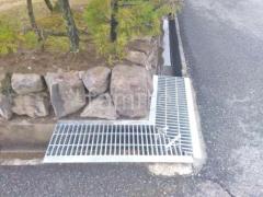 �³�(�ߤ��դ�) ���졼����