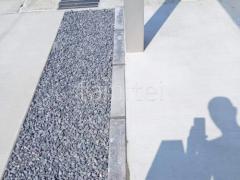 ���ڤ����