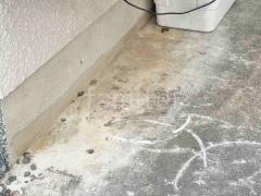 ��¸��ű��