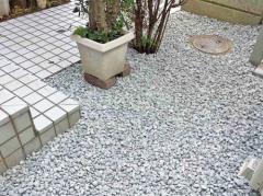 ���Ⱥ����ߤ� �Х饹���� ���𥷡��Ȳù�