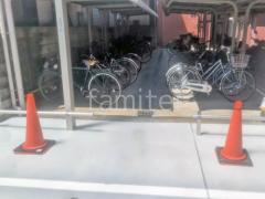 �ڴ֥��󥯥꡼��