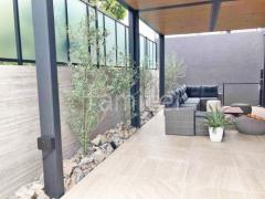 シンボルツリー オリーブ 常緑樹 植栽