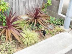  Panasonic LEDݥåȥ饤 LGW40090LE1