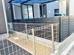 本体色 ブラック