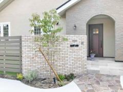 シンボルツリー ホンコンエンシス