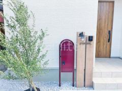 󥯥꡼() ι ơåɥ꡼ѡե ۥܥå ǥ ܥӥ ܥĥ꡼ ꡼ м 