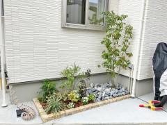 ԥ󥳥в åǥ  ܥĥ꡼ ޥܥ ռ 