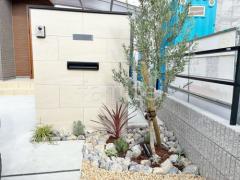 シンボルツリー オリーブ 常緑樹 植栽 ロックガーデン 割栗石敷き