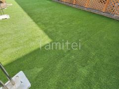 �͹��� ���𥷡��Ȳù� ���꡼��ե������ �ꥢ�꡼������ �ߥɥ� 25mm 