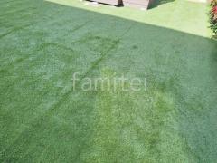 �͹��� ���𥷡��Ȳù� ���꡼��ե������ �ꥢ�꡼������ �ߥɥ� 25mm 