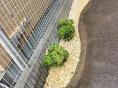 ���Ѻ����ߤ�