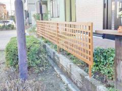 ���ο� ������������