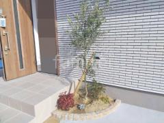 ����ܥ�ĥ꡼ ���꡼�� ���м� ����