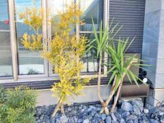 ���� ����