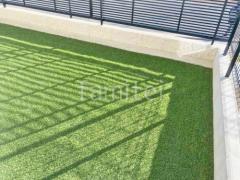 �͹��� ���𥷡��Ȳù� �襷�ߥ��ӿ� �ꥢ��͹��� 35mm 