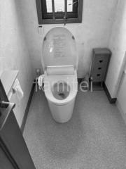 �ȥ��� �ܹ���