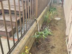 ��¸����ű��