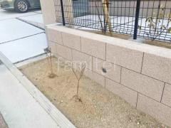 ���� ����