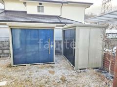 ��¸ʪ�ֺ�����