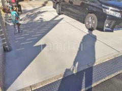 ��־쥬�졼���� �ڴ֥��󥯥꡼��