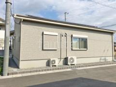 ��α�Ჽ�ѥ֥��å� �����ĥ����� �Х�塼1 �ʥ�����G���å�