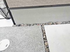 ���å������ǥ� ��˥��� �梁���å� �ӥ���