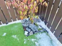 ���å������ǥ� ��˥��� �梁���å� ������