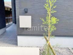 ����ܥ�ĥ꡼ �ƥ����ĥ꡼