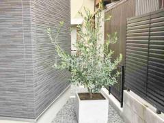 ��¸���꡼�ְ���