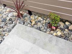 ロックガーデン 割栗石敷き