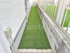 ������ �͹���