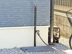 Ω���� ����꡼��� ���顼��W ����� �����ǥ�ѥ� �٥٥� �ҥ�