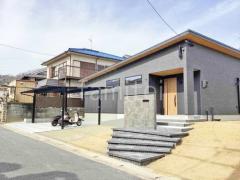 ���ۥ���ץ� �����ץ󳰹�