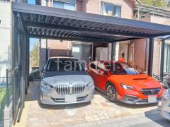 本体色 ブラック