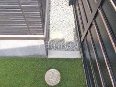 ���ڤ����