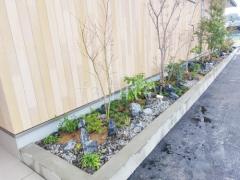 ���� ����