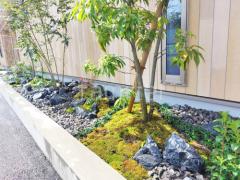 ���å������ǥ� ��˥��� �梁���å� ������