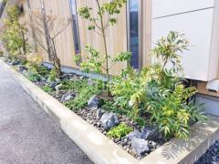 ���å������ǥ� ��˥��� �梁���å� ������