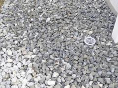 ������ ���Ⱥ����ߤ� �Х饹���� ���𥷡��Ȳù�