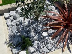 ロックガーデン ユニソン ワズロック アオバ 植栽 下草