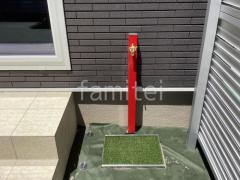 Ω���� ��˥��� ���ץ쥹�����60����å� �ظ�1�� ����� ��˥��� �����եѥ�