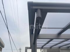 ���ο� ���㥤�󥰥졼 ������ ���ꥢ�ޥå�