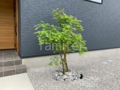 ����ܥ�ĥ꡼  �����ϥ�ߥ� ���ռ� ���� ���å������ǥ� �䷪���ߤ� ���� Panasonic LED���ݥåȥ饤�� ���ѥ����� LGW40091LE1