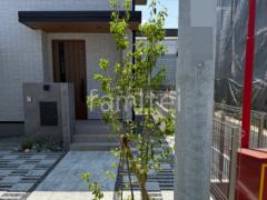 シンボルツリー ソヨゴ 常緑樹 植栽